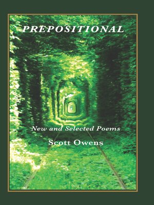cover image of Prepositional: New and Selected Poems